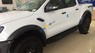 Ford Ranger 2019 - Bán ô tô Ford Ranger Raptor sản xuất năm 2019, màu trắng, nhập khẩu nguyên chiếc