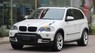 BMW X5  3.0L 2007 - Bán xe BMW X5 2007, xe nhập khẩu