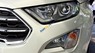 Ford EcoSport 1.5L Titanium 2018 - Bán Ford Ecosport Titanium 2018 - Thay đổi để hoàn hảo", đủ màu, giá tốt