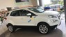 Ford EcoSport Titanium 1.5L 2019 - Bán xe Ford EcoSport Titanium 1.5L năm sản xuất 2019, màu trắng