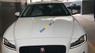Jaguar XF Prestige  2019 - Bán ô tô Jaguar XF Prestige sản xuất 2019, màu trắng, nhập khẩu