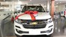 Chevrolet Colorado 2.5 LT 2019 - Bán Chevrolet Colorado 2.5 LT năm 2019, màu trắng, nhập khẩu giá cạnh tranh