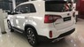 Kia Sorento 2020 - Cần bán Kia Sorento 7 chỗ 2020, màu trắng, giá 769 triệu 