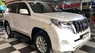 Toyota Prado Prado TXL 2016 - Bán Toyota Land Cruiser Prado TXL năm sản xuất 2016, màu trắng, nhập khẩu