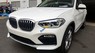 BMW X4   2019 - Bán ô tô BMW X4 sản xuất 2019, màu trắng, xe nhập