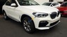 BMW X4   2019 - Bán ô tô BMW X4 sản xuất 2019, màu trắng, xe nhập