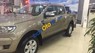 Ford Ranger XLT 2019 - Cần bán xe Ford Ranger XLT sản xuất 2019, giá tốt