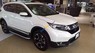 Honda CR V 2019 - Cần bán Honda CR V năm 2019, màu trắng, nhập khẩu nguyên chiếc