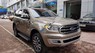 Ford Everest 2019 - Bán Ford Everest năm 2019, màu vàng, nhập khẩu nguyên chiếc