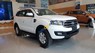 Ford Everest   2019 - Bán Ford Everest sản xuất 2019, màu trắng 