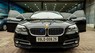 BMW 5 Series 528i 2015 - Bán BMW 5 Series 528i năm 2015, màu đen, xe nhập