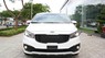 Kia Sedona Platinum D 2019 - Bán Kia Sedona Platinum D 2019_ Hỗ trợ vay NH 90%