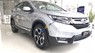 Honda CR V 2019 - Bán Honda CR V năm sản xuất 2019, màu bạc, nhập khẩu  