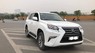 Lexus GX460 Luxury 2017 - Bán Lexus GX460 Luxury 2017, đăng ký tư nhân còn bảo hành trong Lexus tới 2020