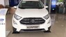 Ford EcoSport Titanium 1.0L Ecoboost 2019 - Ford Ecosport Titanium 1.0L Ecoboost đời 2019 màu trắng, giao xe ngay, hỗ trợ trả góp 80%