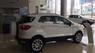 Ford EcoSport Titanium 1.0L Ecoboost 2019 - Ford Ecosport Titanium 1.0L Ecoboost đời 2019 màu trắng, giao xe ngay, hỗ trợ trả góp 80%