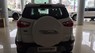 Ford EcoSport Titanium 1.0L Ecoboost 2019 - Ford Ecosport Titanium 1.0L Ecoboost đời 2019 màu trắng, giao xe ngay, hỗ trợ trả góp 80%