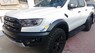 Ford Ranger Raptor 2019 - Bán Ford Ranger Raptor sản xuất 2019, màu trắng, nhập khẩu nguyên chiếc