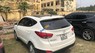 Hyundai Tucson 2010 - Bán Hyundai Tucson đời 2010, màu trắng, xe nhập  