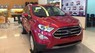 Ford EcoSport 2019 - Bán Ford EcoSport năm 2019, giá tốt