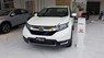 Honda CR V L 2019 - Bán ô tô Honda CR V L sản xuất năm 2019, màu trắng, xe nhập