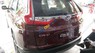 Honda CR V   2019 - Cần bán xe Honda CR V năm sản xuất 2019, màu đỏ, nhập khẩu nguyên chiếc