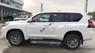 Toyota Land Cruiser Prado VX 2019 - Cần bán Toyota Land Cruiser Prado VX năm sản xuất 2019, màu trắng, nhập khẩu