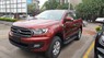 Ford Everest Ambiente 2.0L AT 4x2 2019 - Bán Ford Everest Ambiente 2.0L AT 4x2 năm sản xuất 2019, màu đỏ, nhập khẩu nguyên chiếc