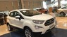 Ford EcoSport Trend 4x2 AT 2019 - Bán Ford Ecosport Trend 4x2 AT màu trắng, sự lựa chọn hoàn hảo với tầm giá dưới 600 triệu đồng