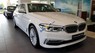 BMW 5 Series 2018 - Cần bán BMW 5 Series sản xuất năm 2018, màu trắng, xe nhập