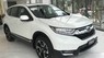 Honda CR V L 2019 - Honda CR-V L 2019 nhập khẩu Thailand - đang khuyến mãi - đủ màu, giao ngay