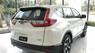 Honda CR V L 2019 - Honda CR-V L 2019 nhập khẩu Thailand - đang khuyến mãi - đủ màu, giao ngay