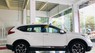 Honda CR V L 2019 - Cần bán xe Honda CR V L sản xuất 2019, màu đen, nhập khẩu