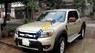 Ford Ranger   2010 - Bán ô tô Ford Ranger năm sản xuất 2010, nhập khẩu nguyên chiếc