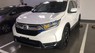 Honda CR V   L  2019 - Cần bán xe Honda CR V L sản xuất năm 2019, màu trắng, xe nhập
