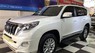 Toyota Prado TXL 2016 - Bán ô tô Toyota Prado TXL năm 2016, màu trắng, xe nhập