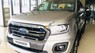 Ford Ranger 2019 - Cần bán Ford Ranger sản xuất năm 2019, màu bạc, nhập khẩu nguyên chiếc