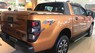 Ford Ranger   Wildtrak 2.0L 4x4 AT 2019 - Bán Ford Ranger Wildtrak 2.0L 4x4 AT sản xuất năm 2019, nhập khẩu nguyên chiếc, giá chỉ 900 triệu