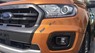 Ford Ranger   Wildtrak 2.0L 4x4 AT 2019 - Bán Ford Ranger Wildtrak 2.0L 4x4 AT sản xuất năm 2019, nhập khẩu nguyên chiếc, giá chỉ 900 triệu