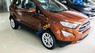 Ford EcoSport 2019 - Cần bán xe Ford EcoSport năm sản xuất 2019