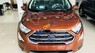 Ford EcoSport 2019 - Cần bán xe Ford EcoSport năm sản xuất 2019