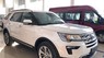 Ford Explorer 2019 - Ford Explorer, xe nhập Mỹ, giá tốt nhất, tặng quà tặng giá trị, liên hệ Xuân Liên 0963 241 349