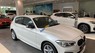 BMW 1 Series 118i   2018 - Bán BMW 1 Series 118i sản xuất 2018, màu trắng, nhập khẩu nguyên chiếc