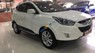 Hyundai Tucson  2.0 AT  2010 - Bán ô tô Hyundai Tucson năm sản xuất 2010, màu trắng, nhập khẩu, giá cạnh tranh