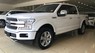 Ford F 150 Platium 2019 - Bán Ford F150 Platinum 2019 màu trắng