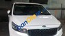 Kia Sedona   3.3 AT  2016 - Cần bán gấp Kia Sedona 3.3 AT sản xuất 2016, màu trắng
