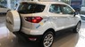 Ford EcoSport Titanium 2019 - Bán Ford EcoSport Titanium năm sản xuất 2019, màu trắng, giá tốt