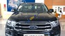 Ford Everest Ambient 2.0L MT 2019 - Bán Ford Everest Ambient 2.0L MT sản xuất 2019, màu đen, xe nhập