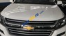 Chevrolet Colorado   2019 - Cần bán xe Chevrolet Colorado sản xuất 2019, màu trắng, nhập khẩu