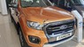 Ford Ranger 2019 - Bán xe Ford Ranger sản xuất 2019, xe nhập